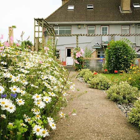 Bed and Breakfast Eagle Heights Enniscrone Esterno foto