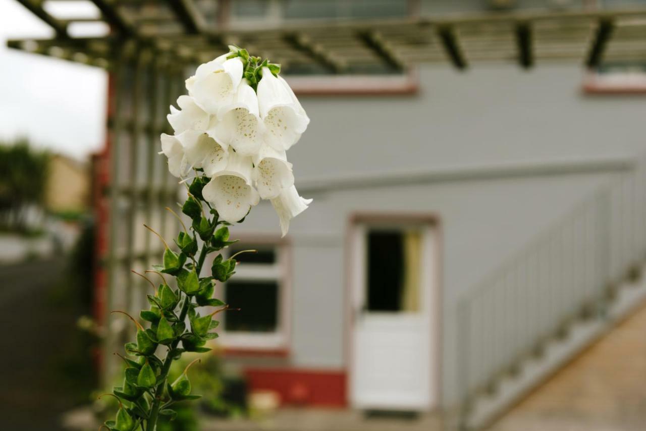 Bed and Breakfast Eagle Heights Enniscrone Esterno foto